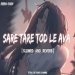 Sare Tare Tod Le Ava (Slowed And Reverb) Mp3
