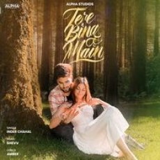 Tere Bina Main Mp3